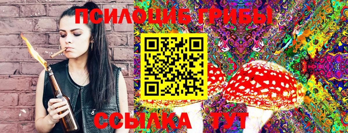 Псилоцибиновые грибы GOLDEN TEACHER Киров