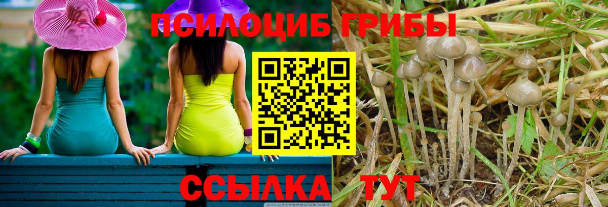 Галлюциногенные грибы Magic Shrooms  Вход с VPN  Галлюциногенные грибы мицелий  Киров 